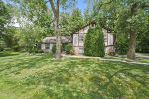 720 LIONS Drive