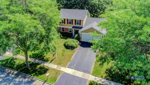 537 Forest View Road