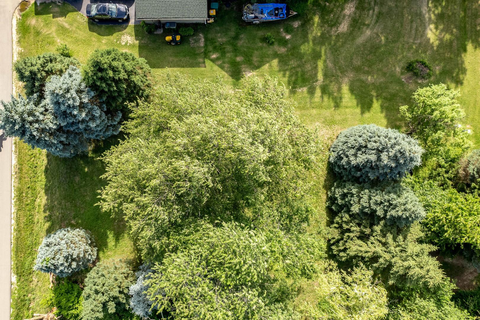 Image 3 Image 3