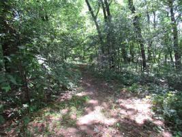146 Forest Avenue