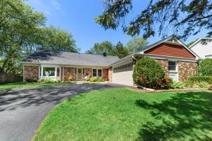 1015 W Skylark Drive