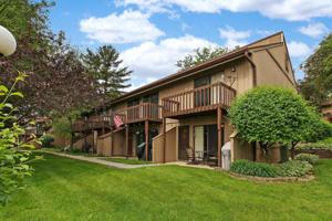 61 Aspen Colony