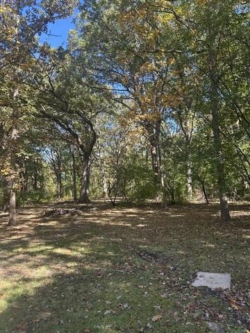Image 1 Image 1