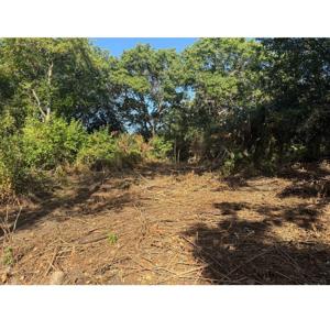 2905 Rose Marie Drive