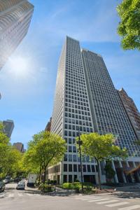 1100 N Lake Shore Drive