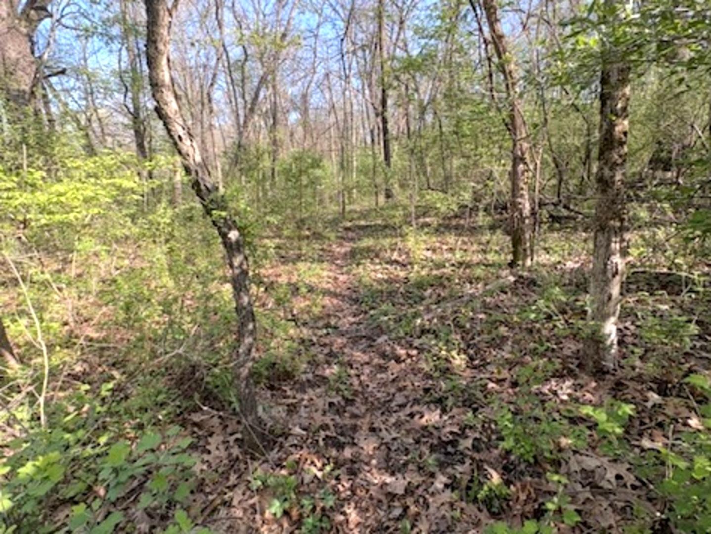 Image 3 Image 3