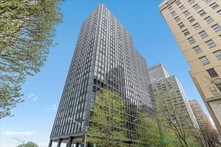 910 N Lake Shore Drive