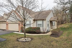 1217 Shagbark Court