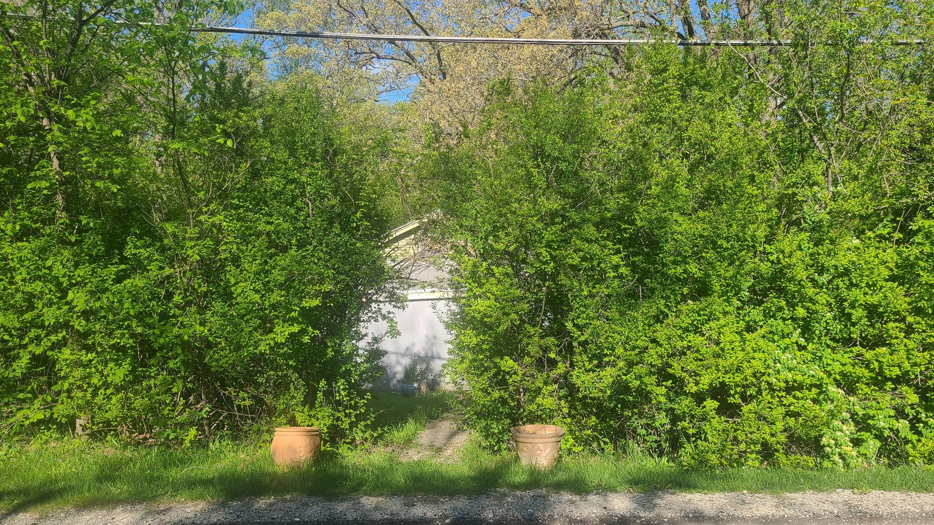 Image 1 Image 1