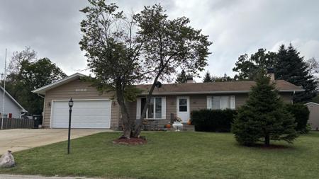 38408 PRIMROSE N
