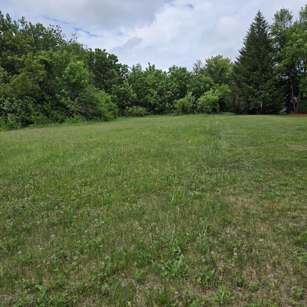 Image 4 Image 4