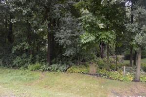 Lot 9 Shade Tree Circle