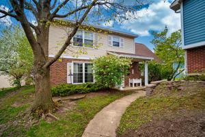 314 Jasmine Court
