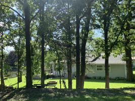 402 WOLF Drive