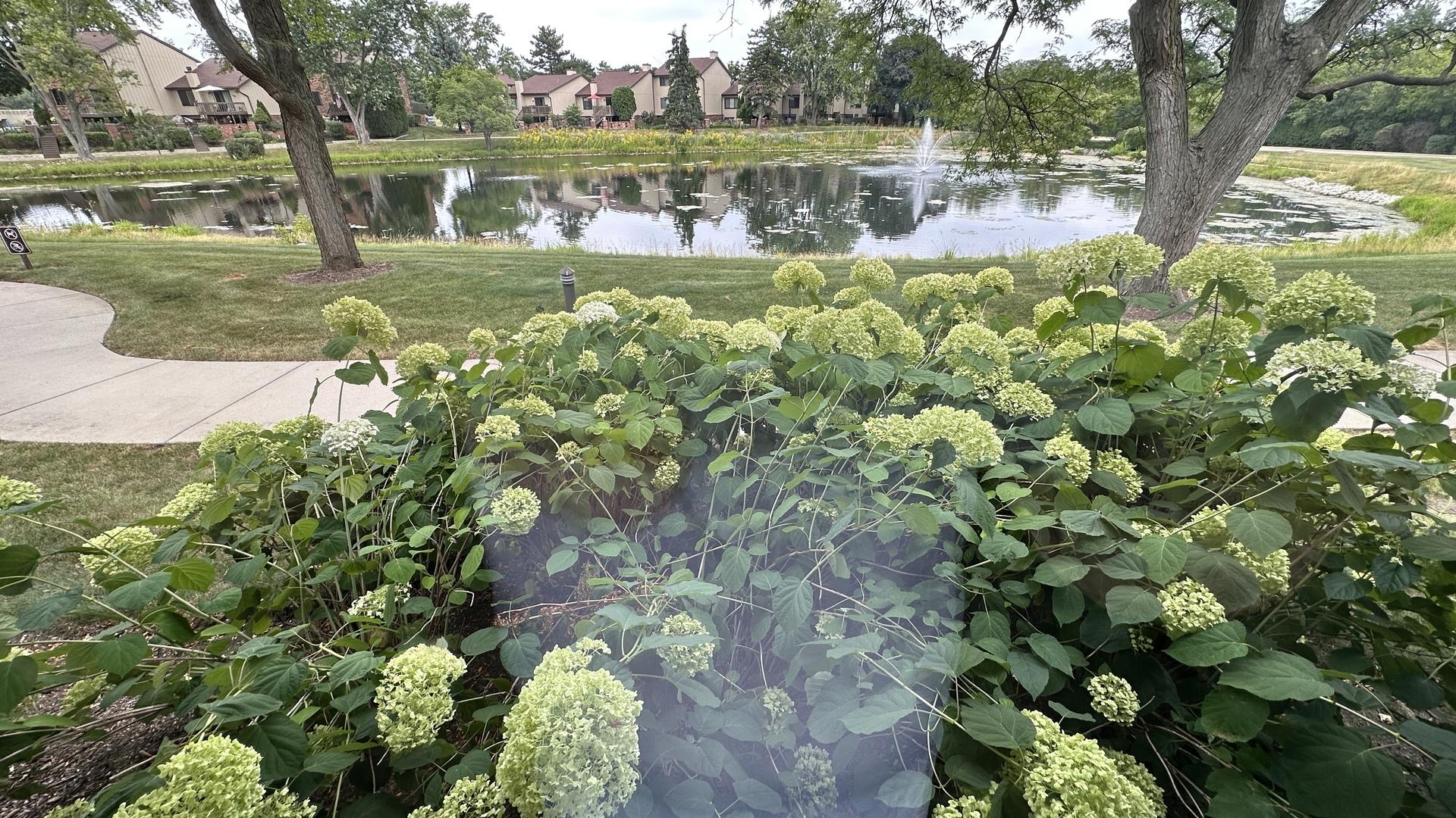 Image 2 Image 2