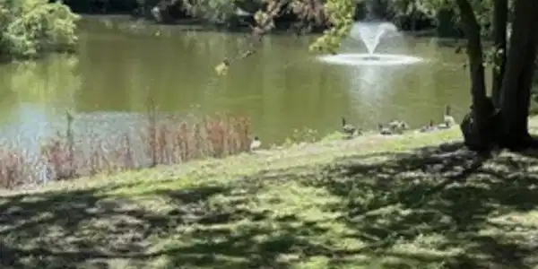 Image 2 Image 2