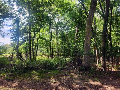 Lot 679 Rollingwood Place