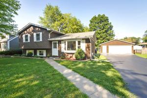3205 Poplar Drive