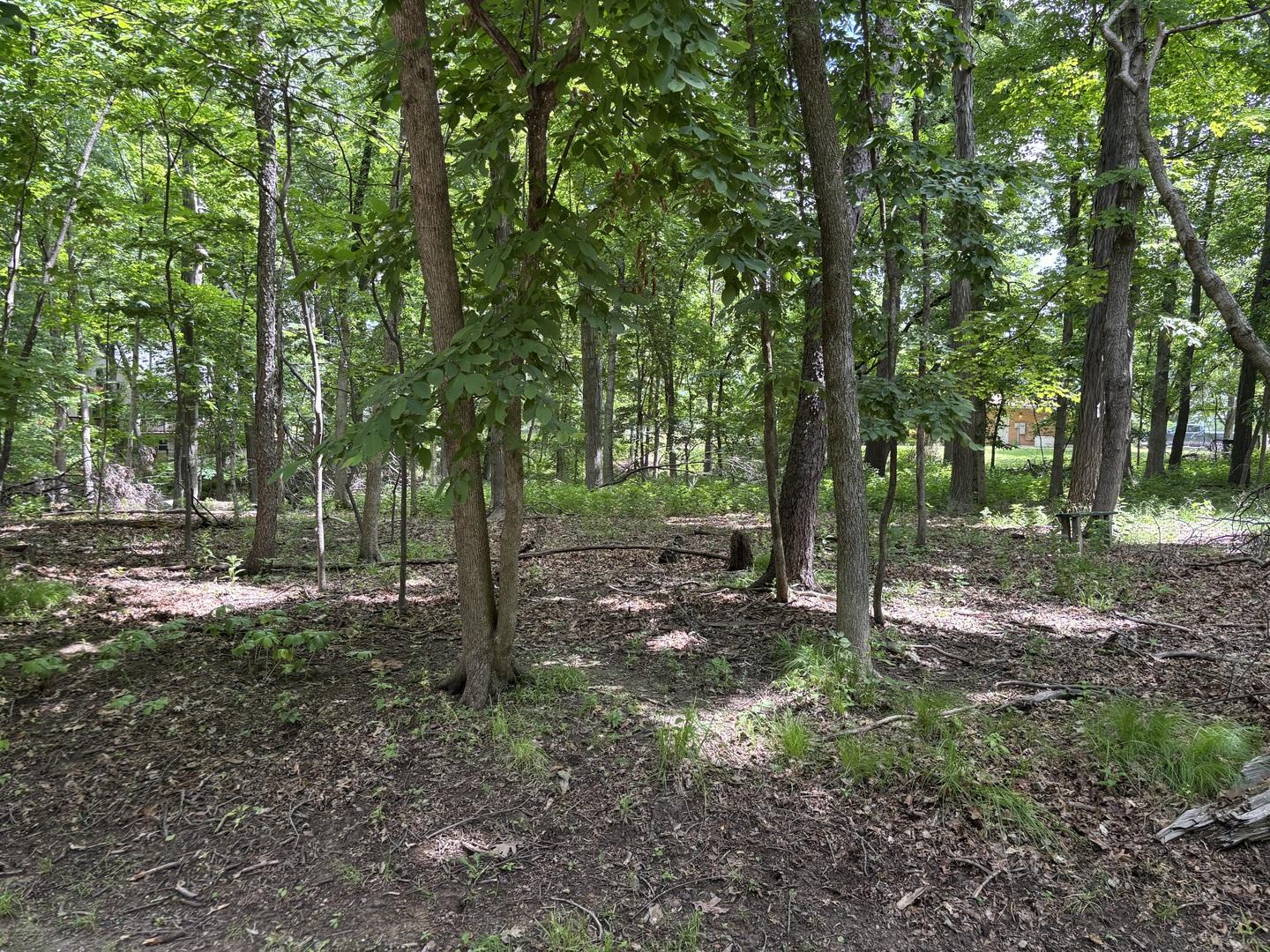 Image 1 Image 1