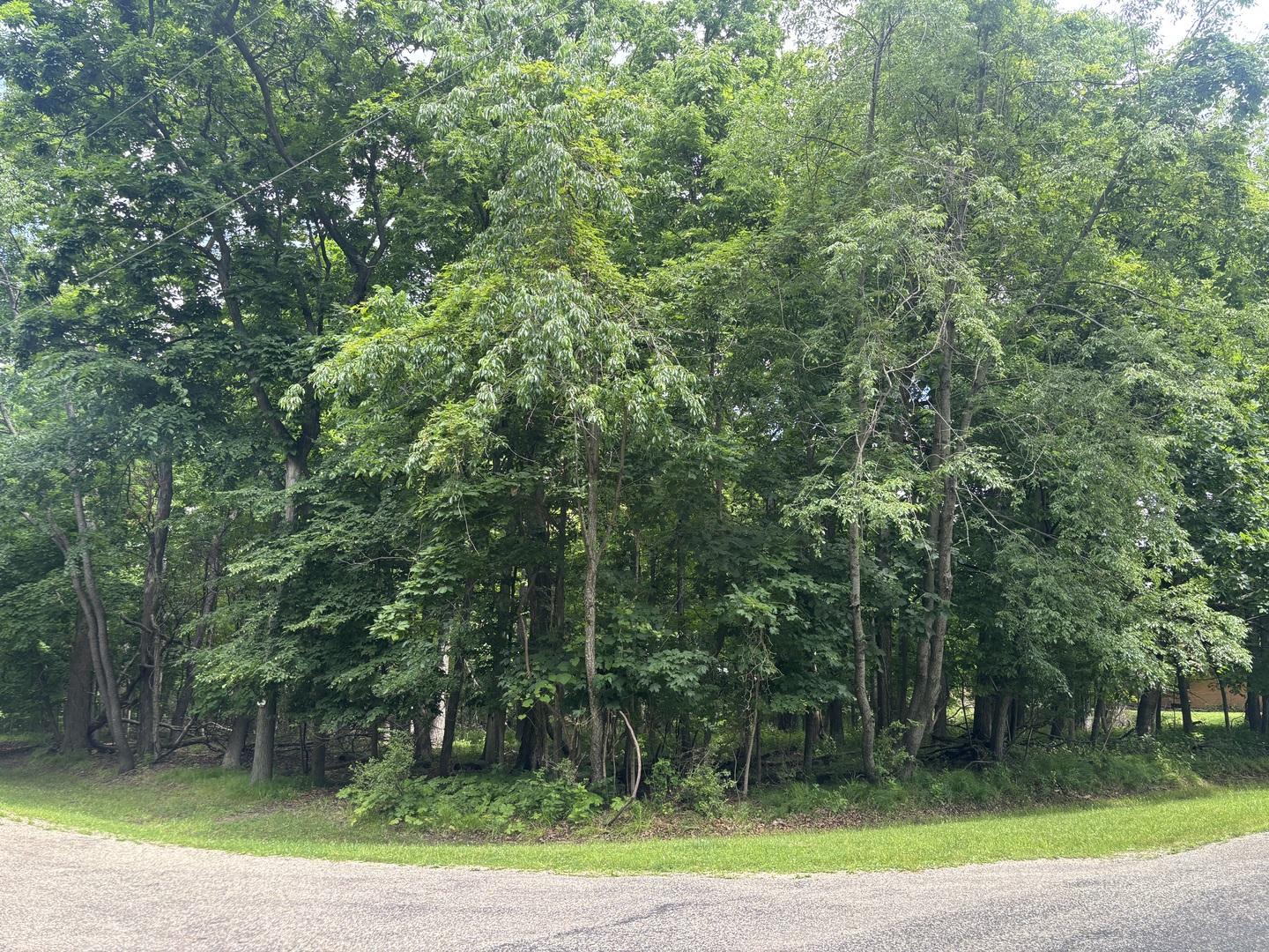 Image 2 Image 2