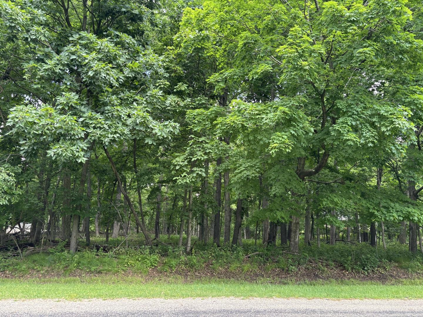 Image 3 Image 3