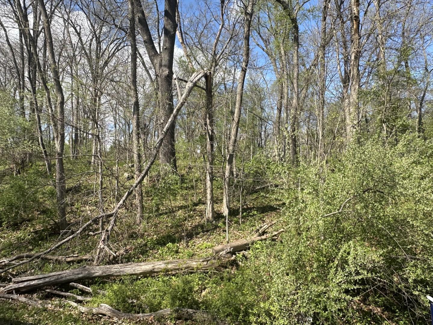 Image 1 Image 1