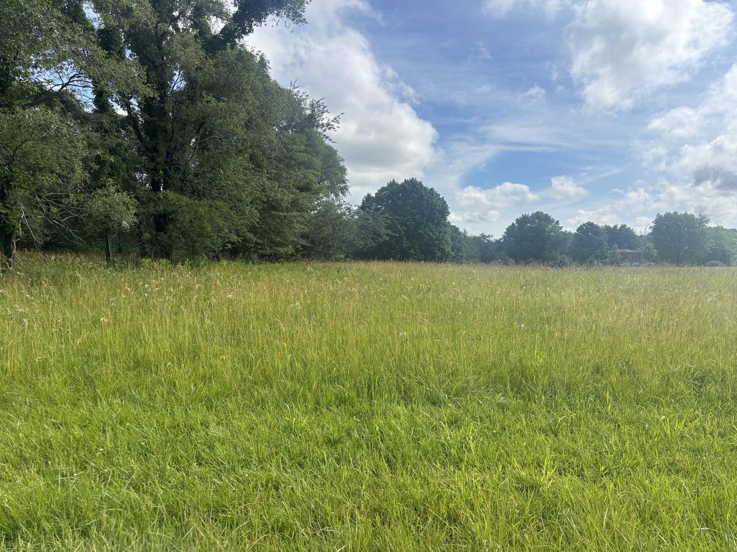 Image 3 Image 3