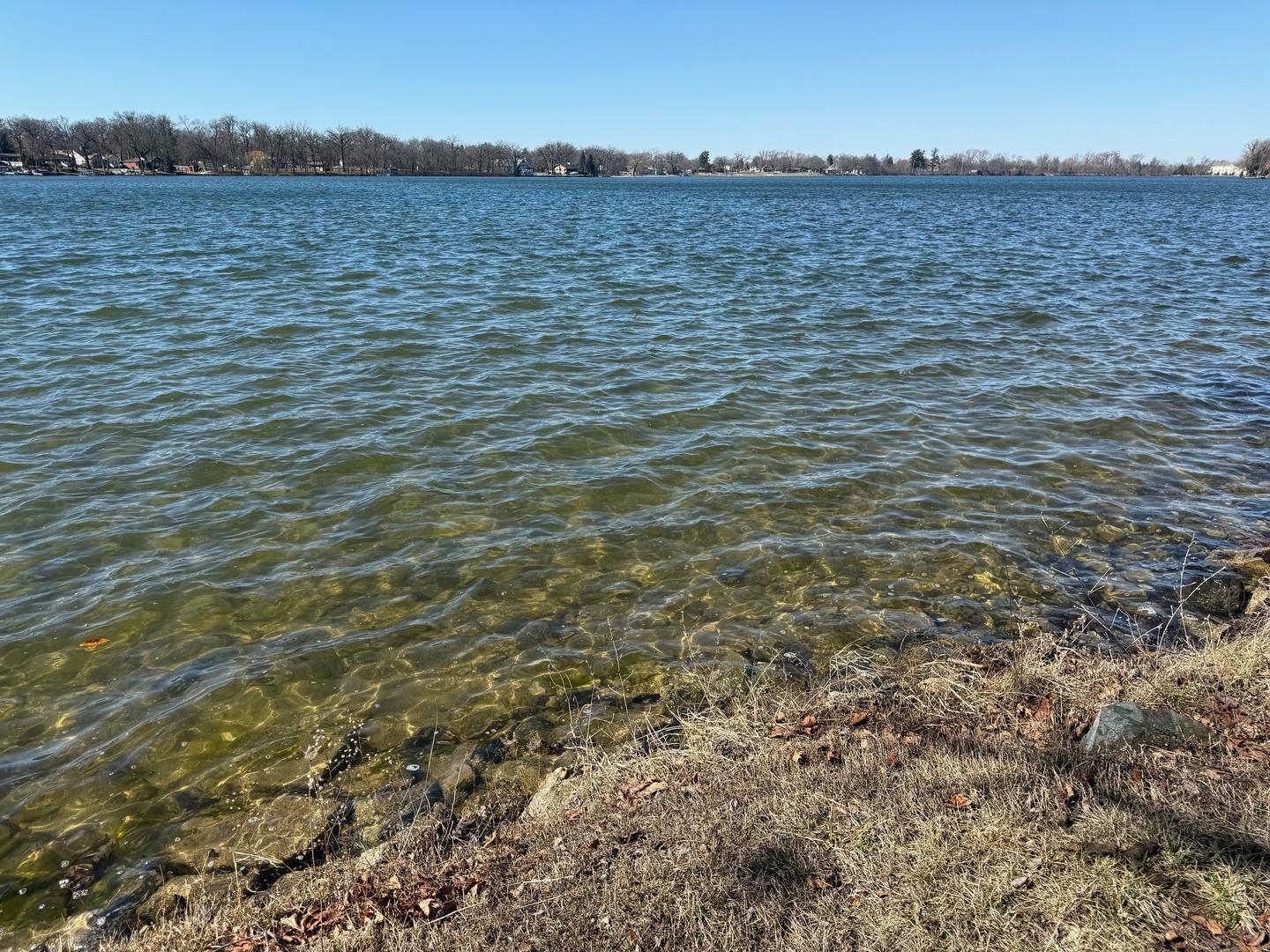 Image 1 Image 1