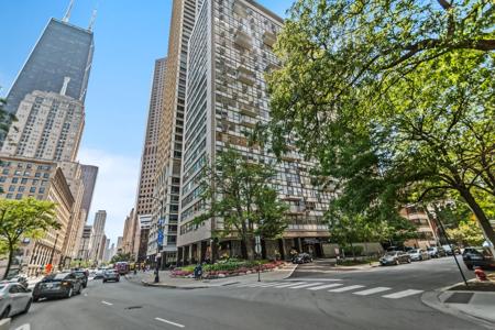 1000 N LAKE SHORE Drive