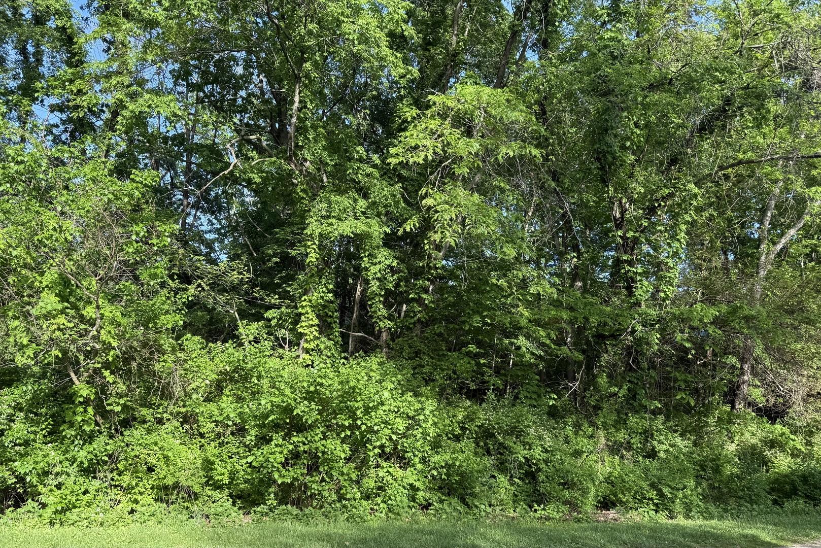 Image 3 Image 3