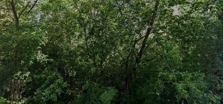 22172 W Spruce Drive