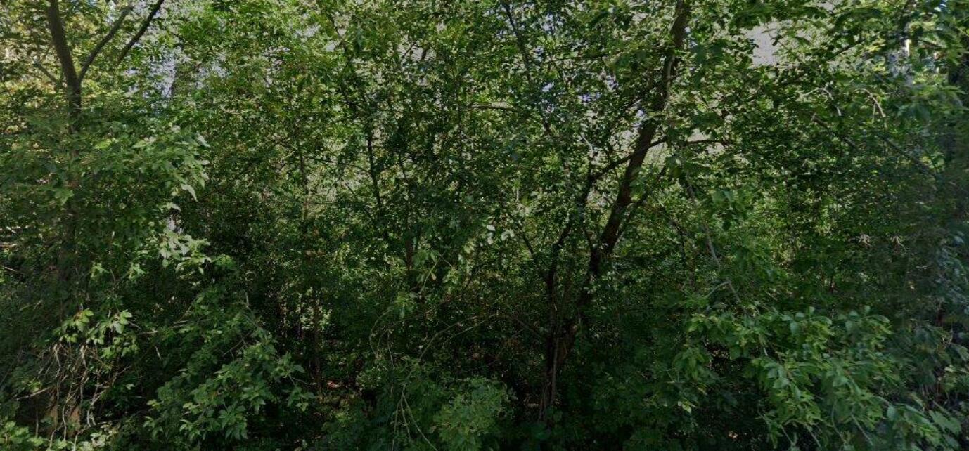 Image 1 Image 1