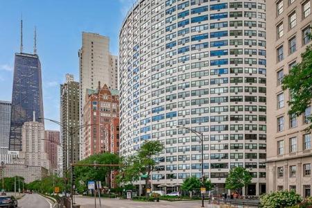 1150 N Lake Shore Drive