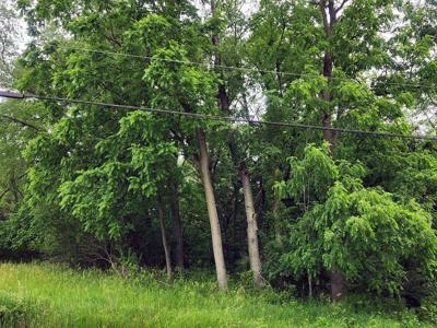 Lot 1573 Lake Wildwood Drive