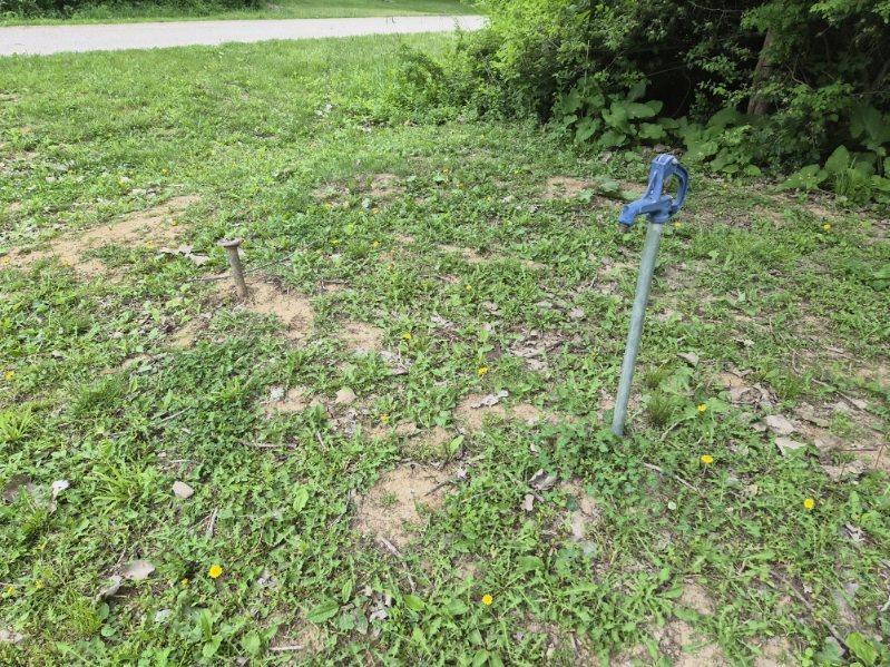 Image 1 Image 1