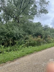 Lot 392 Lake Thunderbird WS 2 Drive