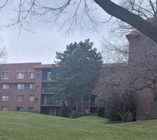 101 Old Oak Drive