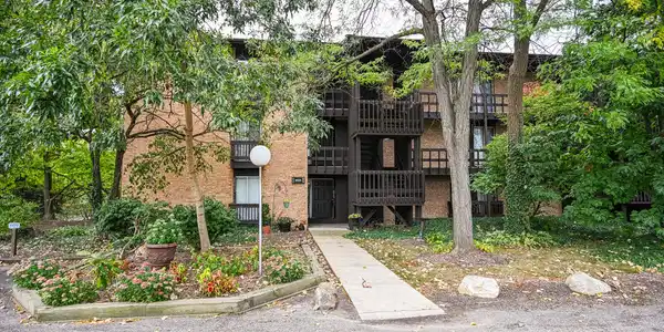 1601 Maple Terrace