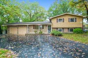 141 Timber Lane