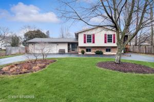 441 Cumberland Lane