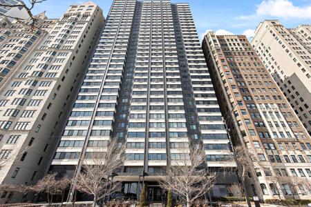 1440 N Lake Shore Drive
