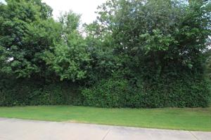 Lot 10 Shade Tree Circle