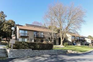 44 Nassau Colony