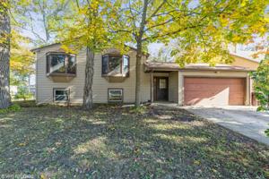 81 Tweed Road