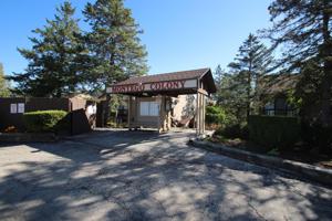31 Montego Colony