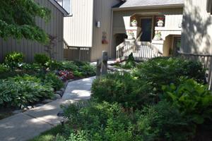 228 Hickory Lane