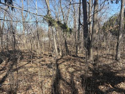 25118 W Catherine Drive