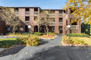 52 N Pistakee Lake Road