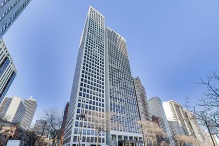 1100 N Lake Shore Drive