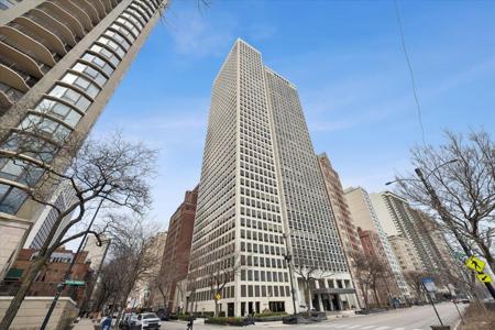 1100 N LAKE SHORE Drive